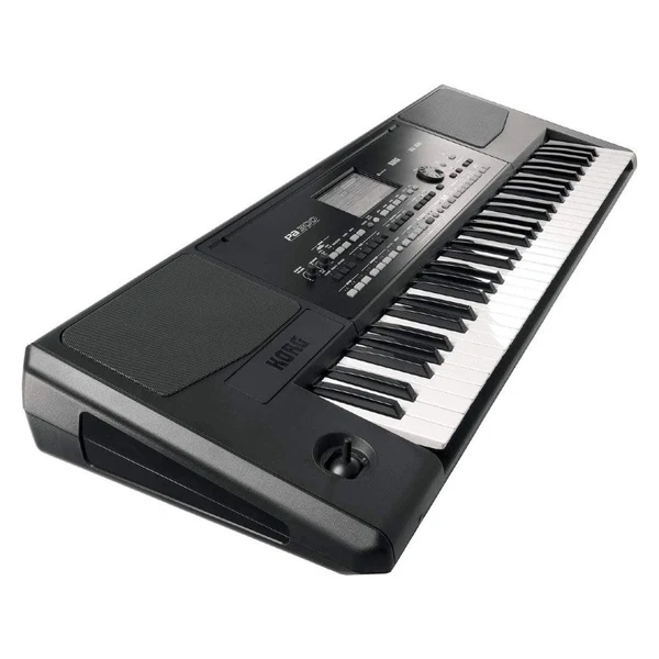 Korg Arranger Keyboard - Pa300