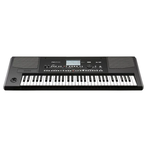 Korg Arranger Keyboard - Pa300