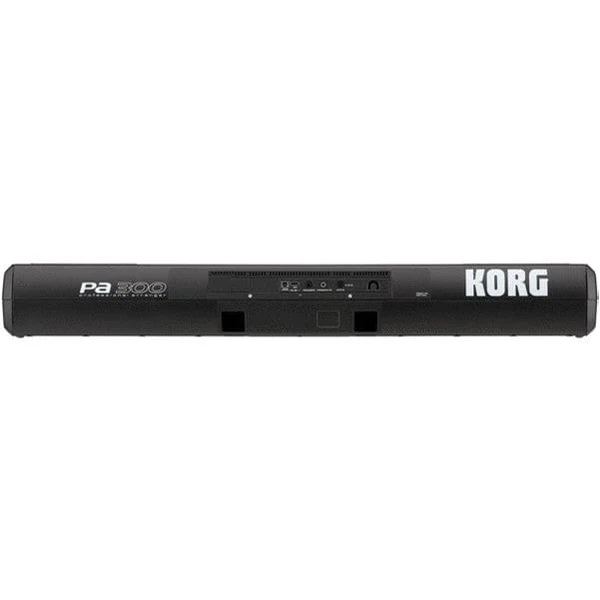 Korg Arranger Keyboard - Pa300
